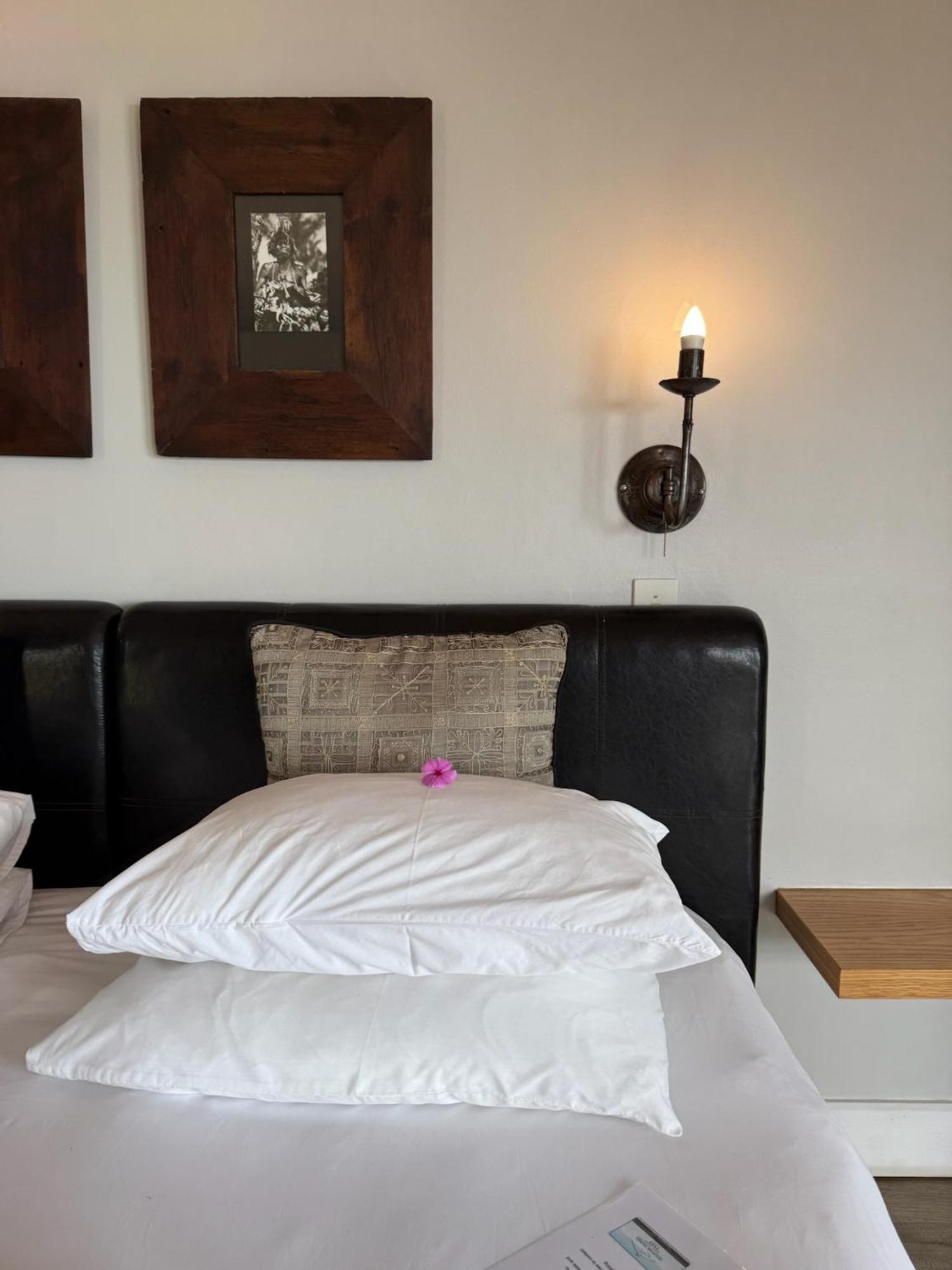 Dolphin Dunes Guesthouse Wildernis Buitenkant foto